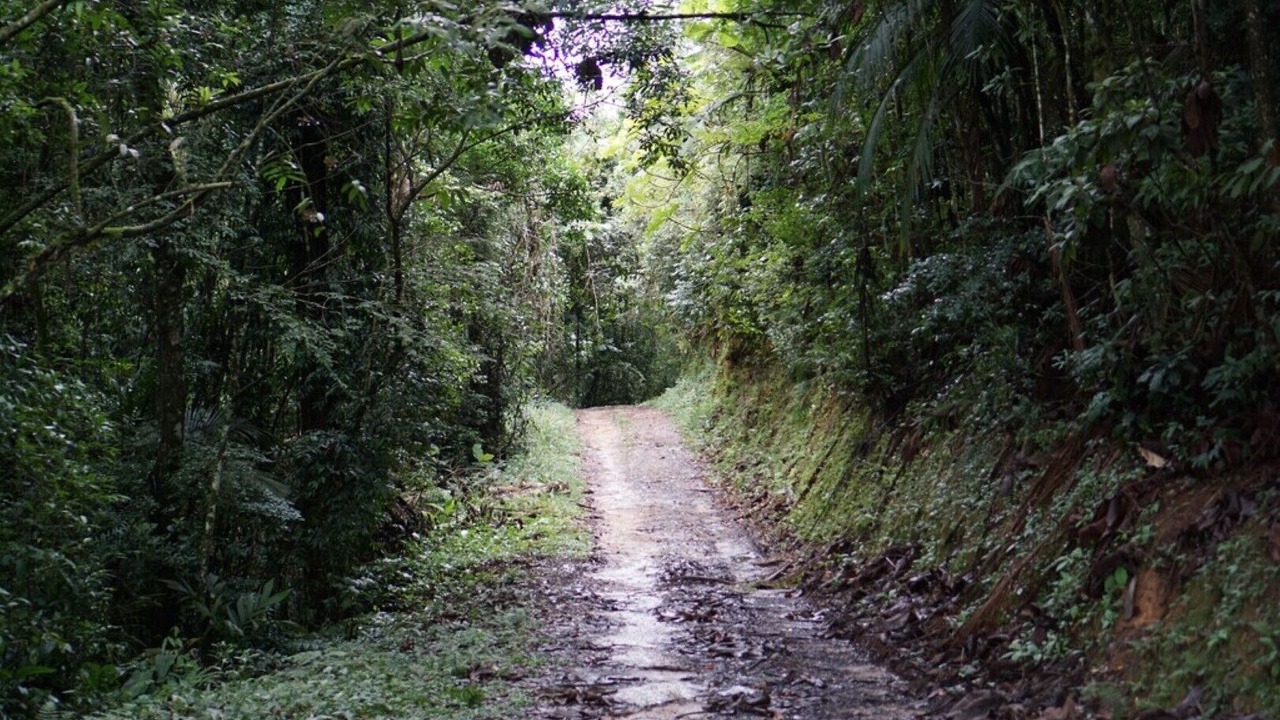 Photo of Outdoor in Embu-Guacu