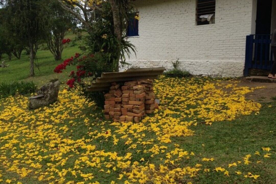 Photo of Outdoor in Embu-Guacu