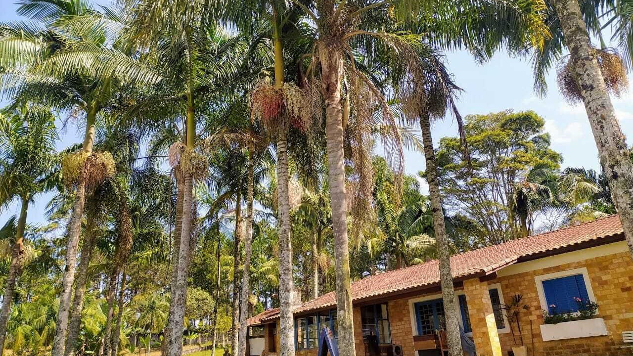 Photo of Outdoor in Sao Paulo