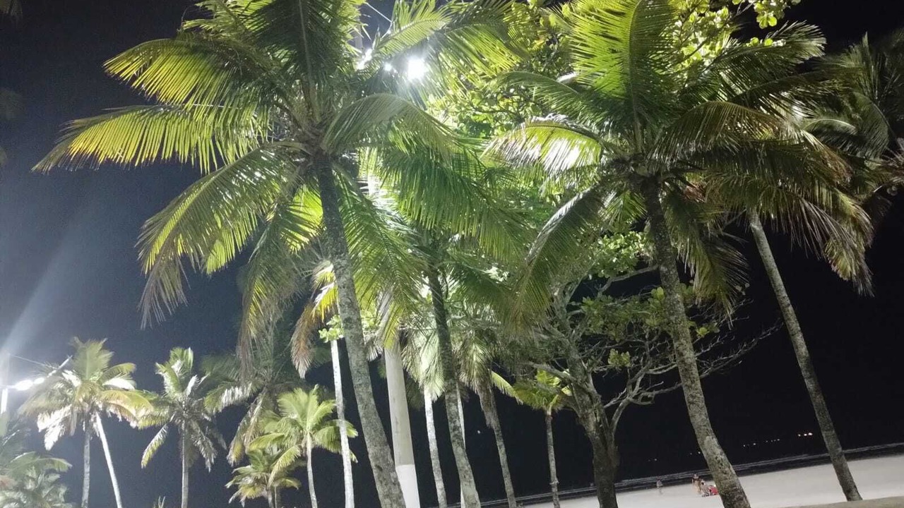 Photo of Outdoor in Vila Julia