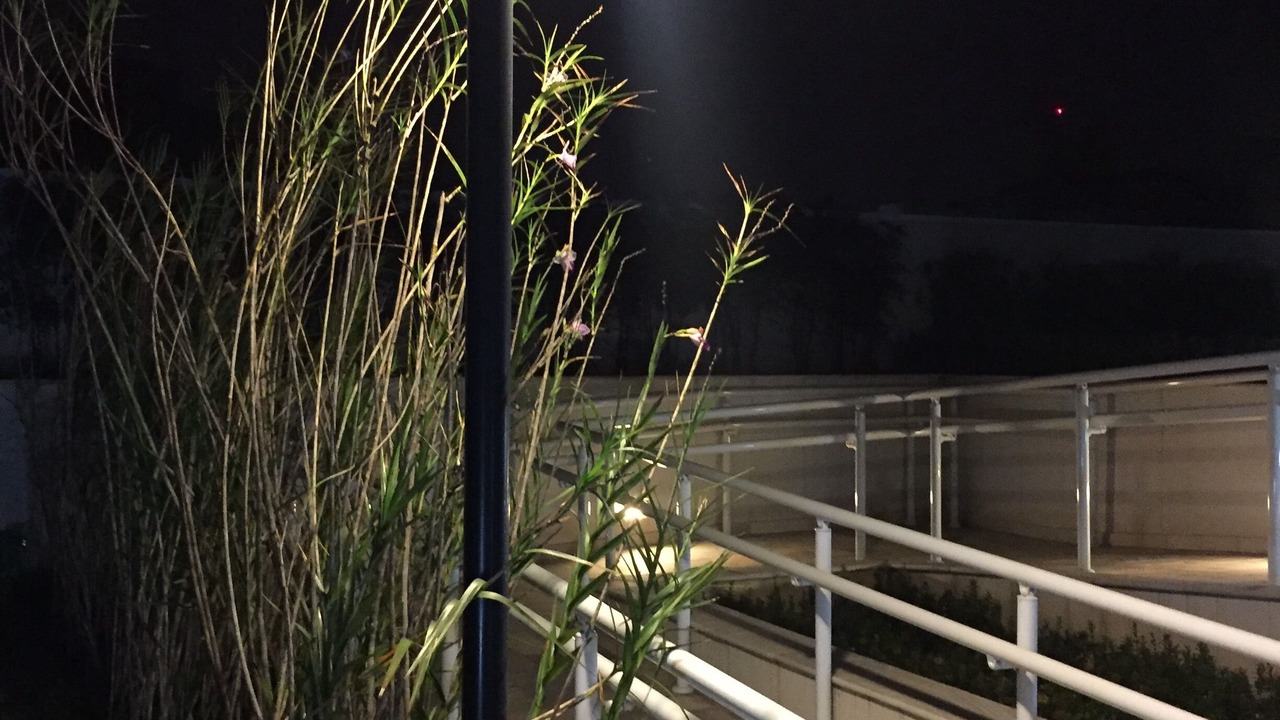 Photo of Outdoor in Parque Enseada