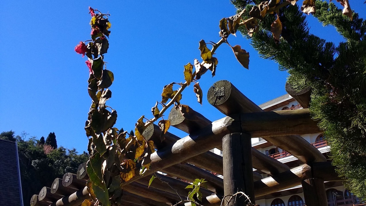 Photo of Outdoor in Vila Poran