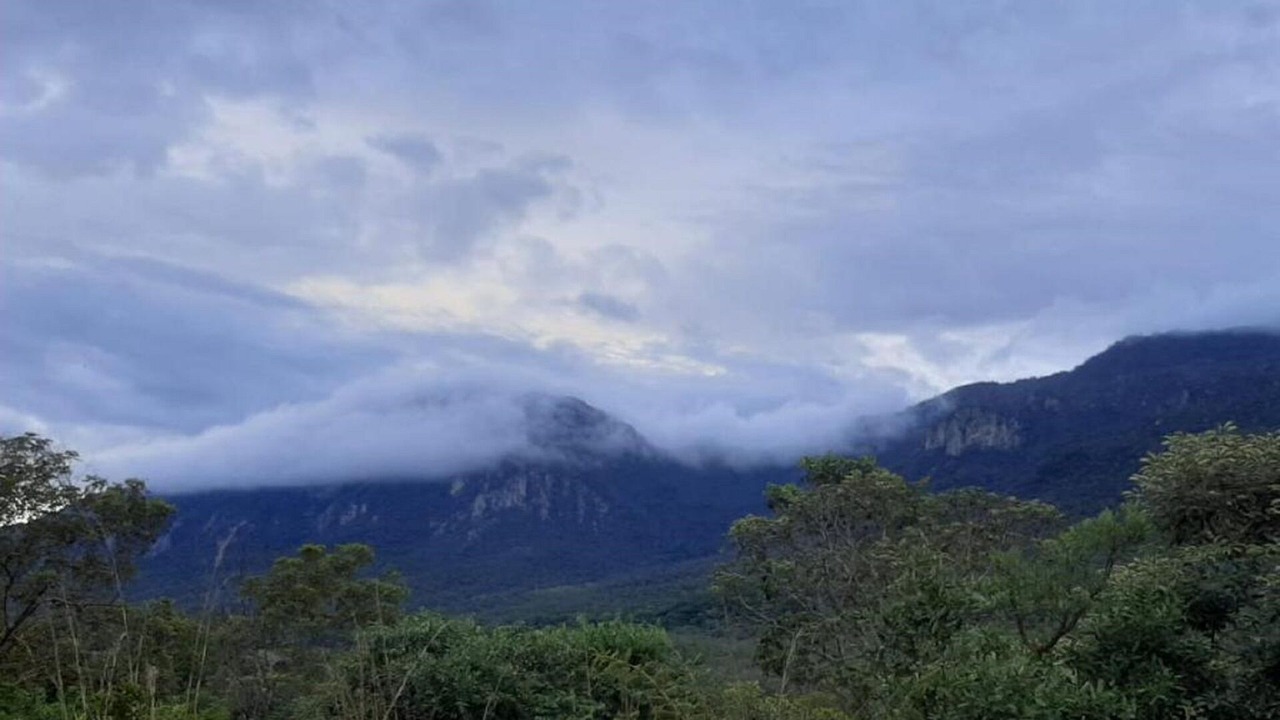 Photo of Outdoor in Cavalcante