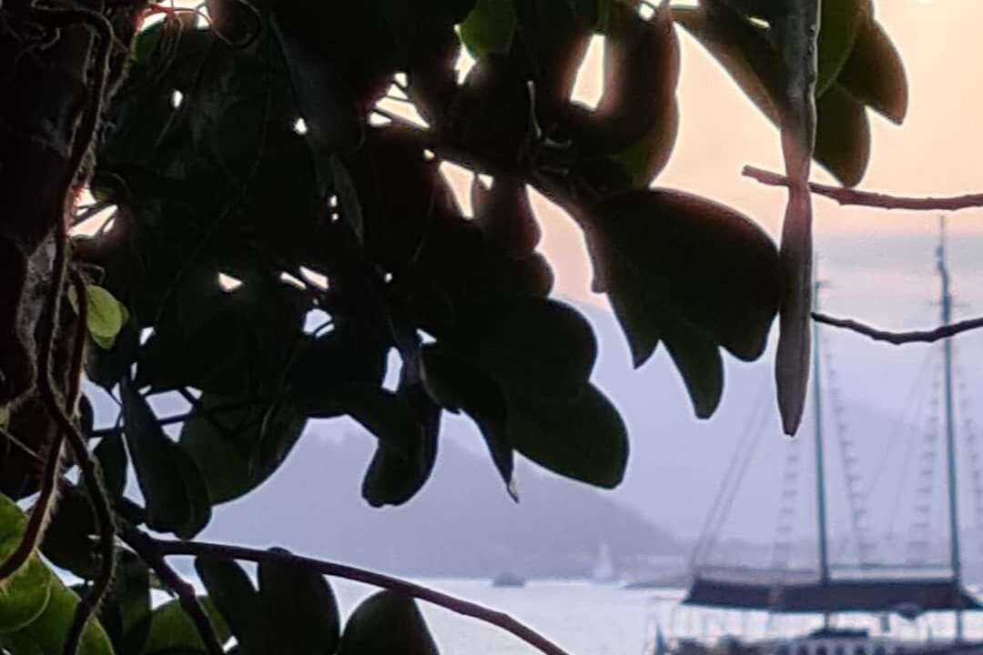 Photo of Others in Praia da Enseada