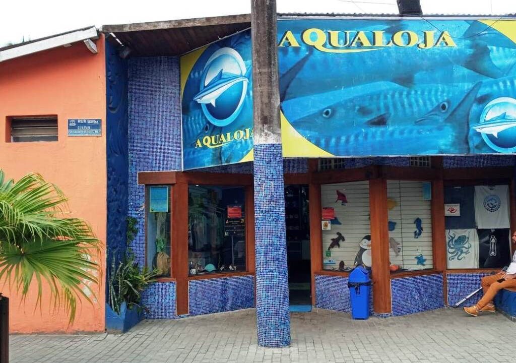 Photo of Outdoor in Barra da Lagoa