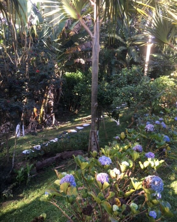 Photo of Others in Itapecerica da Serra
