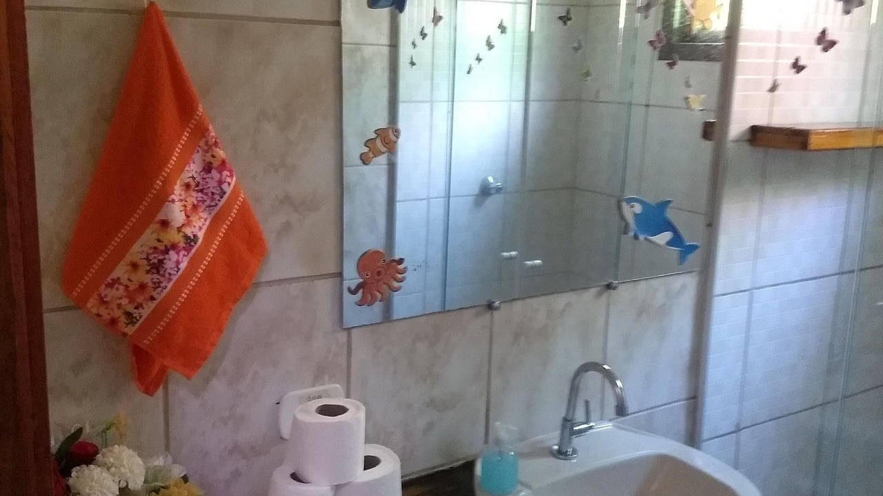 Photo of Bathroom in Agua Branca