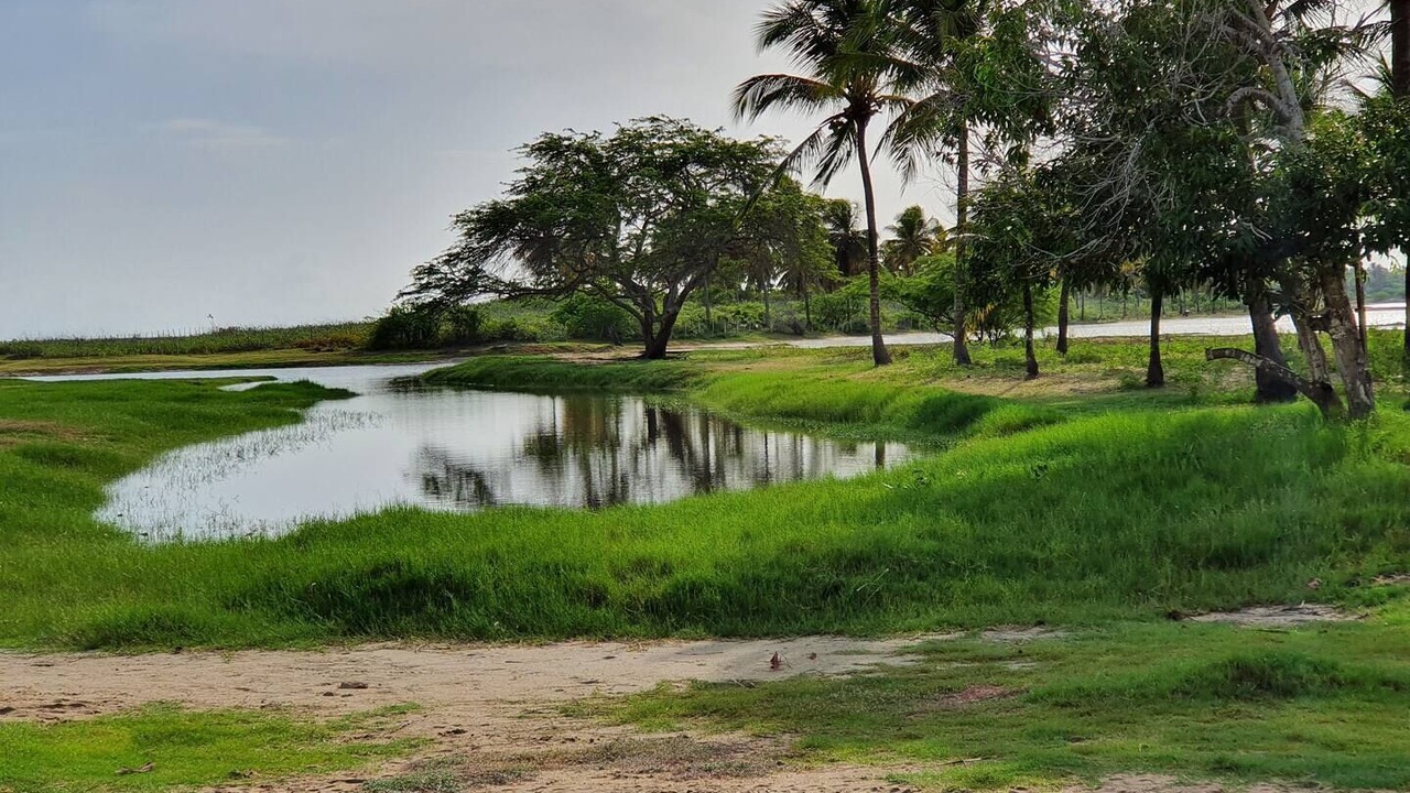 Photo of Outdoor in Sao Miguel de Touros