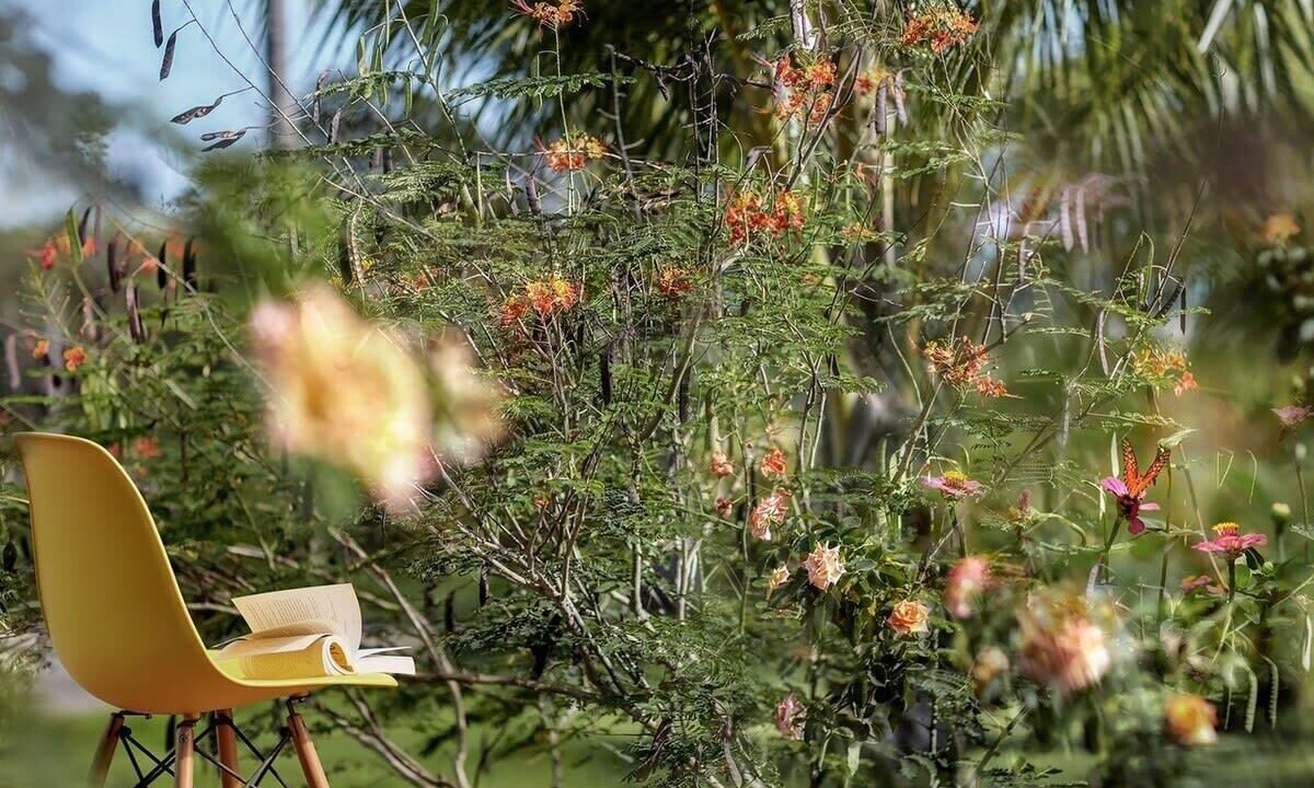 Photo of Outdoor in Jijoca de Jericoacoara