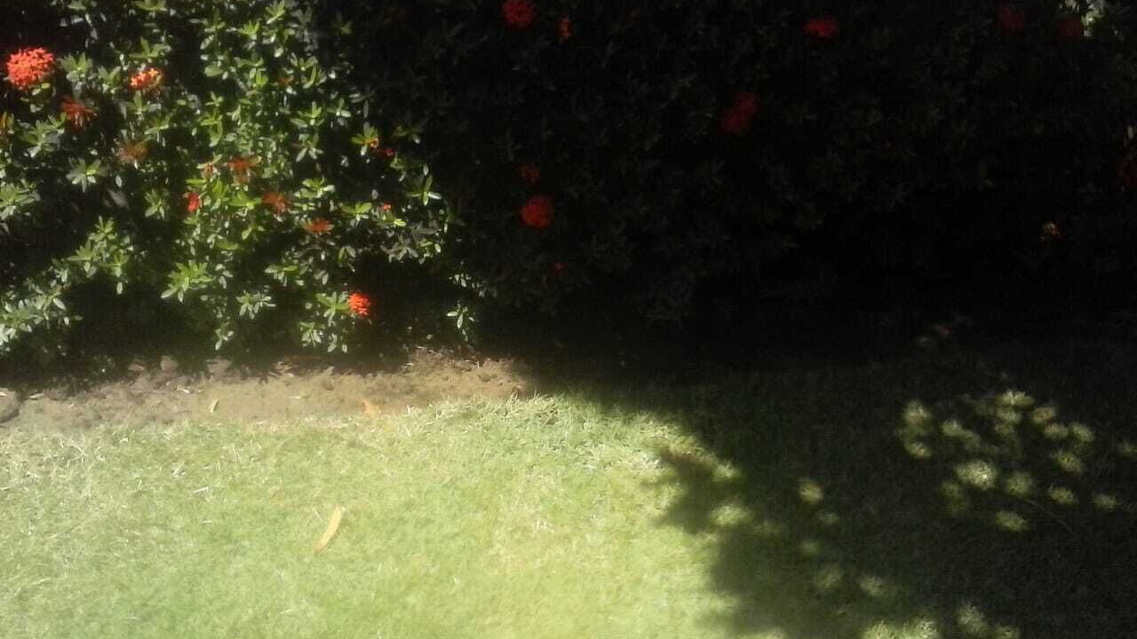 Photo of Outdoor in Sao Jose da Coroa Grande