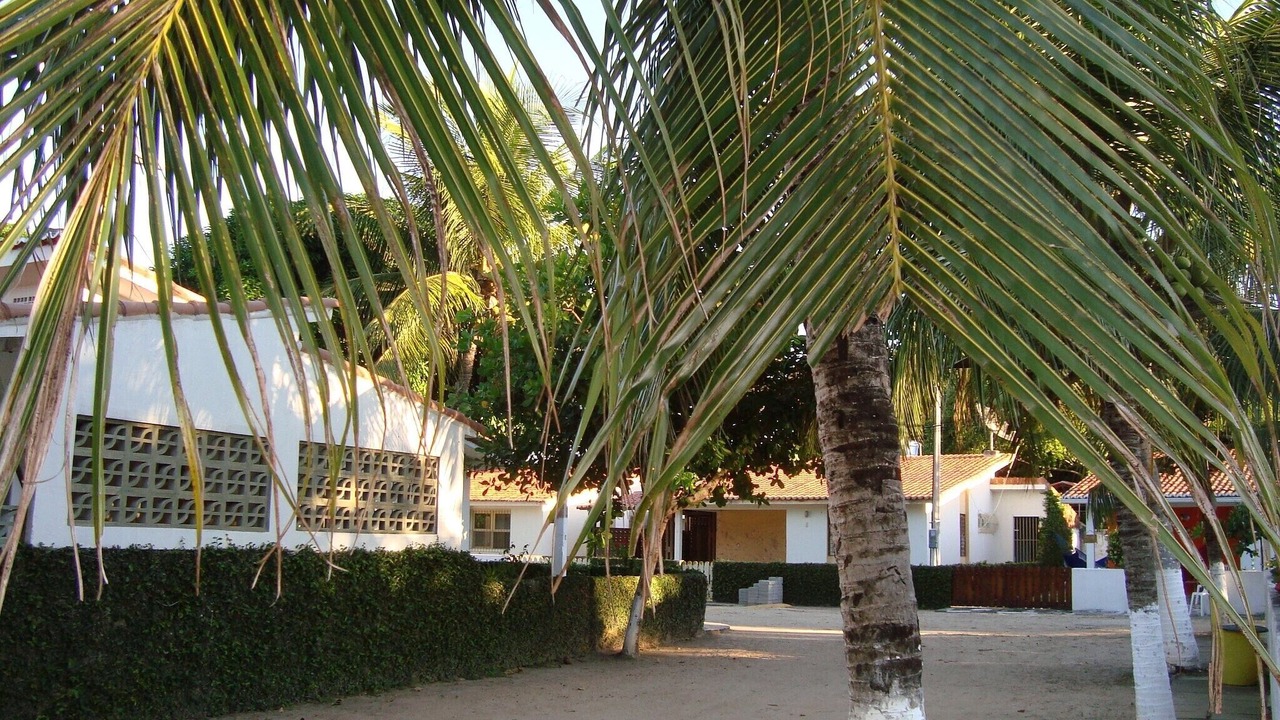 Photo of Outdoor in Sao Jose da Coroa Grande