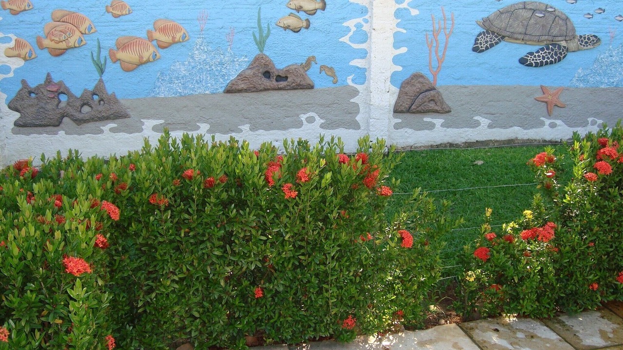 Photo of Outdoor in Sao Jose da Coroa Grande