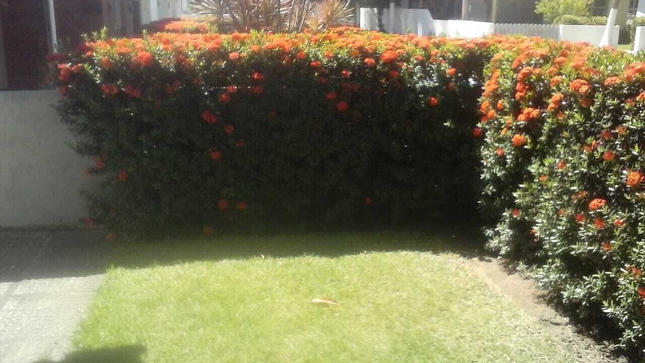 Photo of Outdoor in Sao Jose da Coroa Grande
