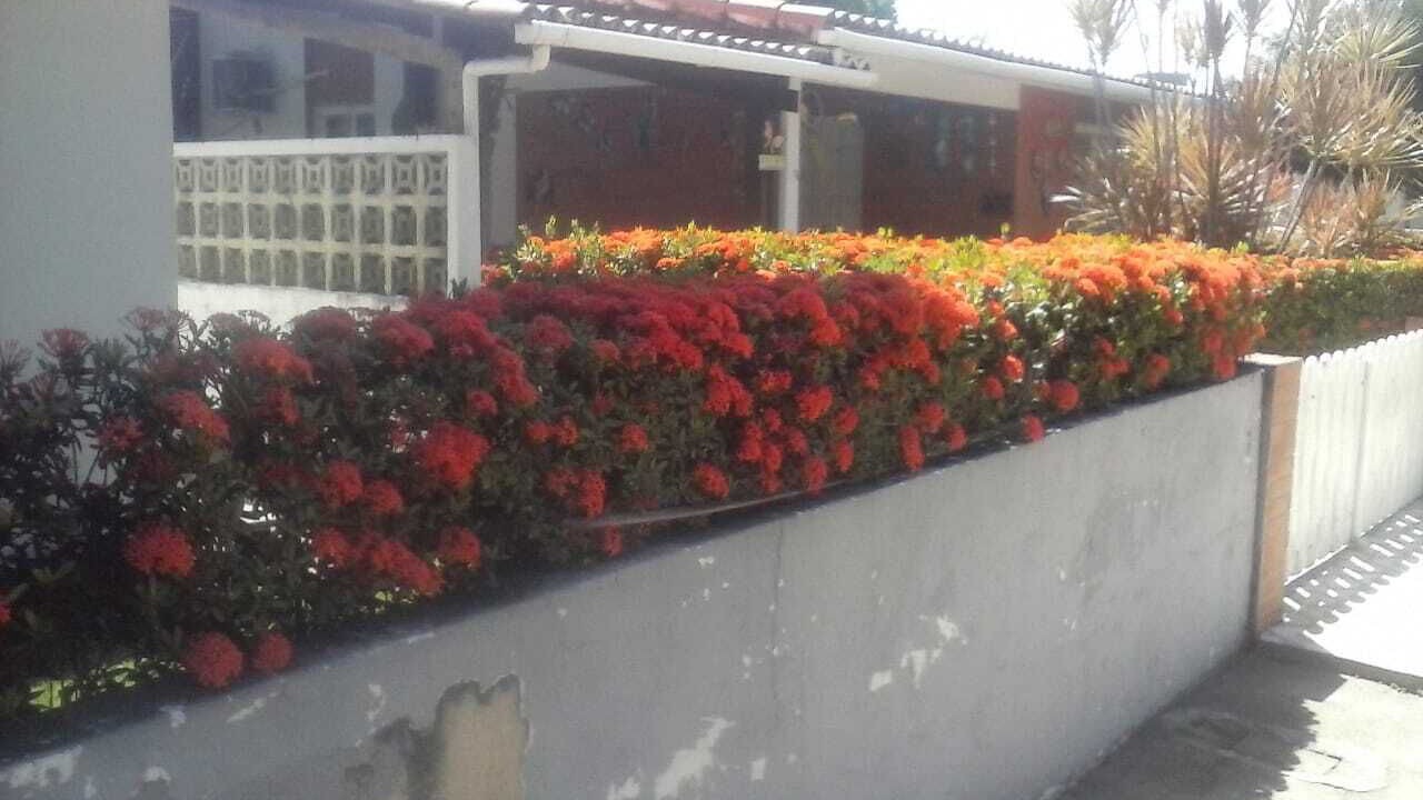Photo of Outdoor in Sao Jose da Coroa Grande