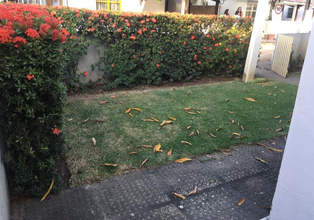 Photo of Outdoor in Sao Jose da Coroa Grande