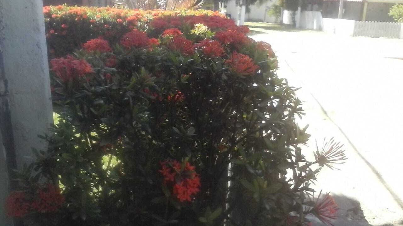 Photo of Outdoor in Sao Jose da Coroa Grande