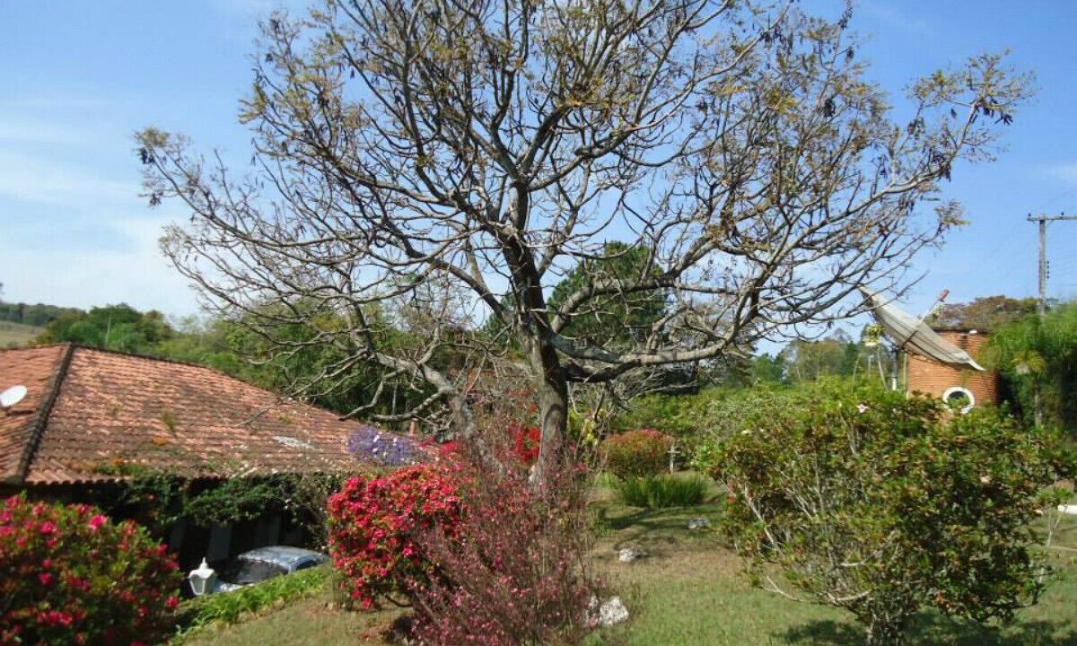 Photo of Outdoor in Jarinu
