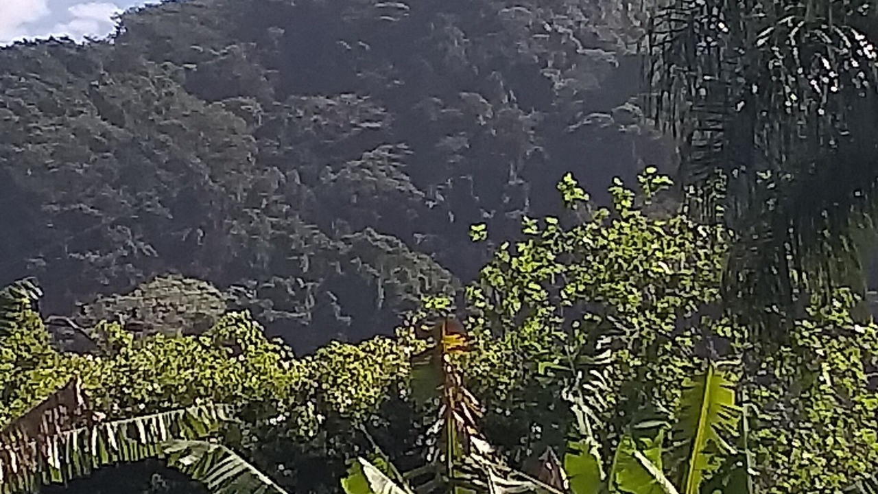 Photo of Outdoor in Solemar