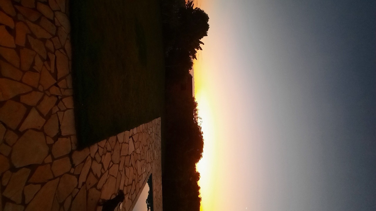 Photo of Outdoor in Sarapui