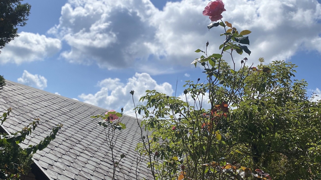 Photo of Outdoor in Campos do Jordao