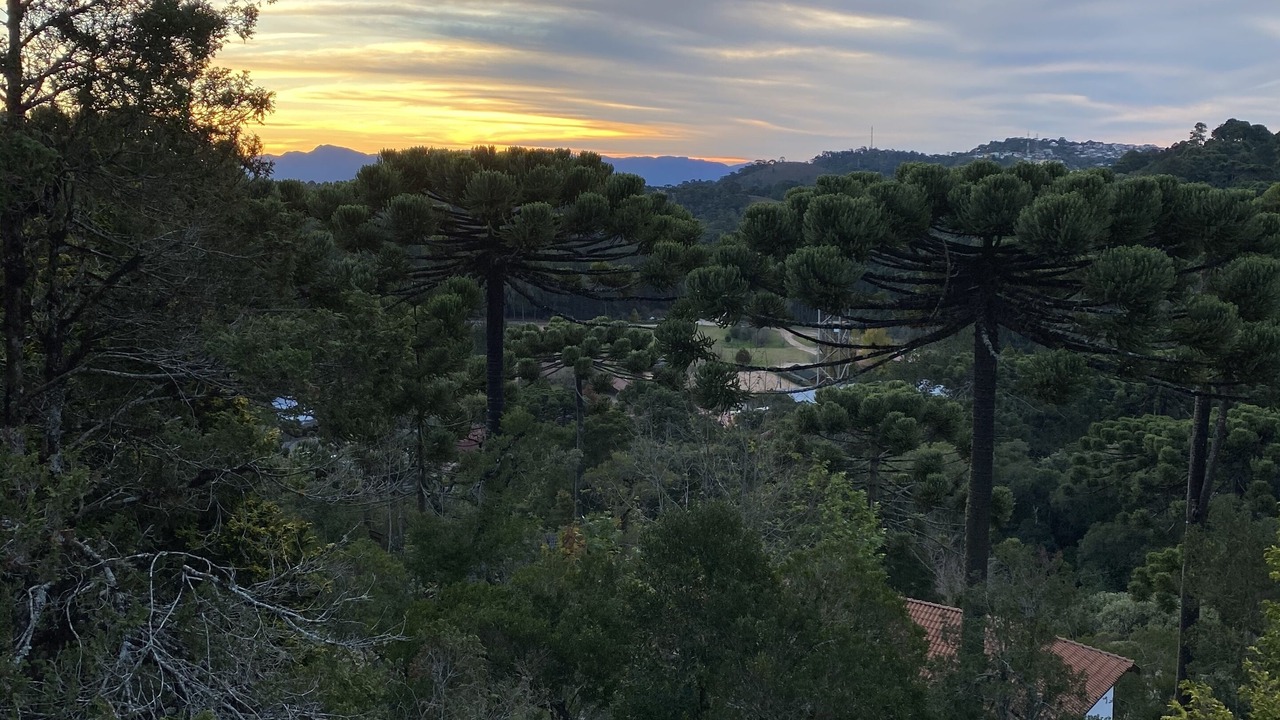Photo of Others in Campos do Jordao