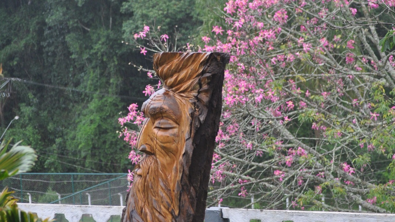 Photo of Outdoor in Franco da Rocha