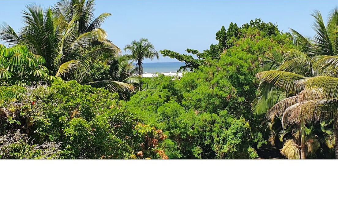 Photo of Others in Costa do Sol