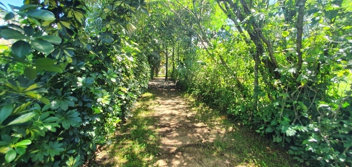 Photo of Outdoor in Costa do Sol