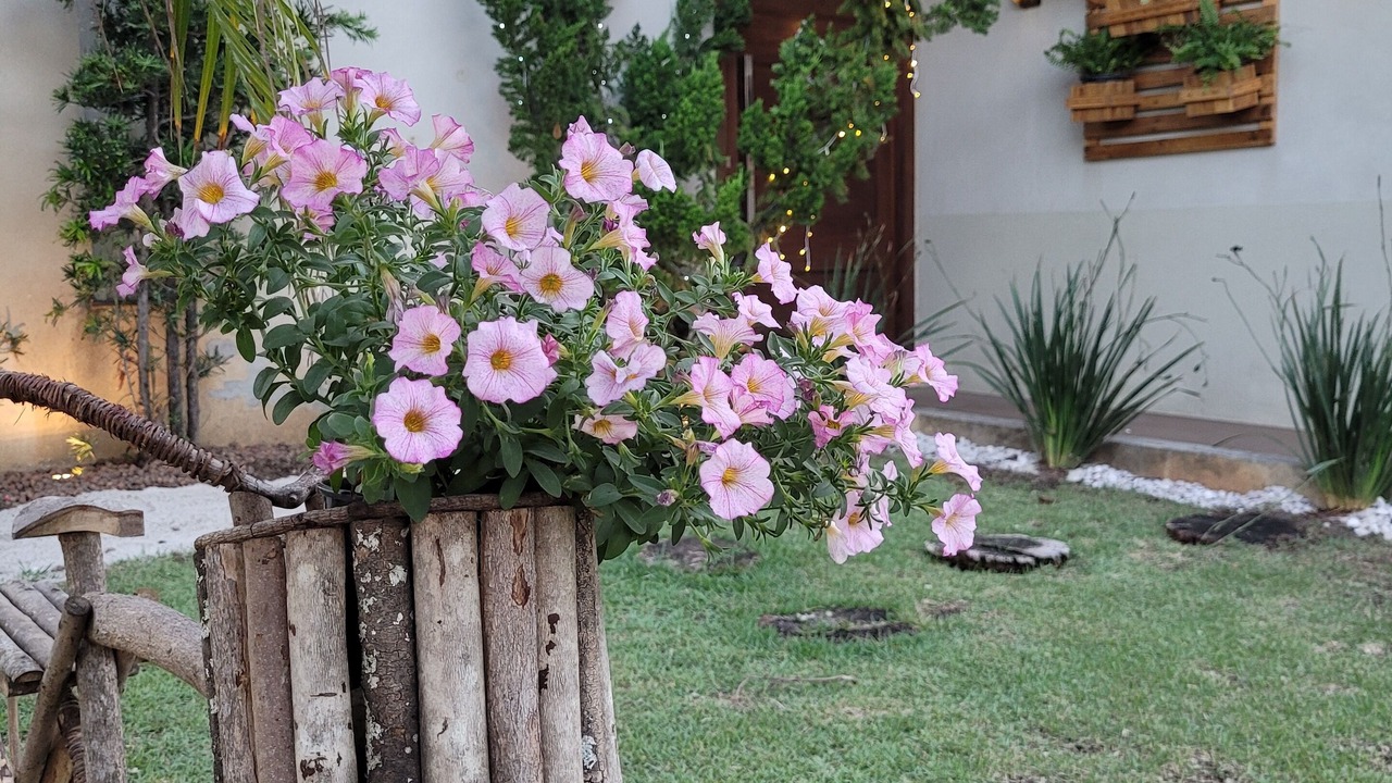 Photo of Outdoor in Aruana