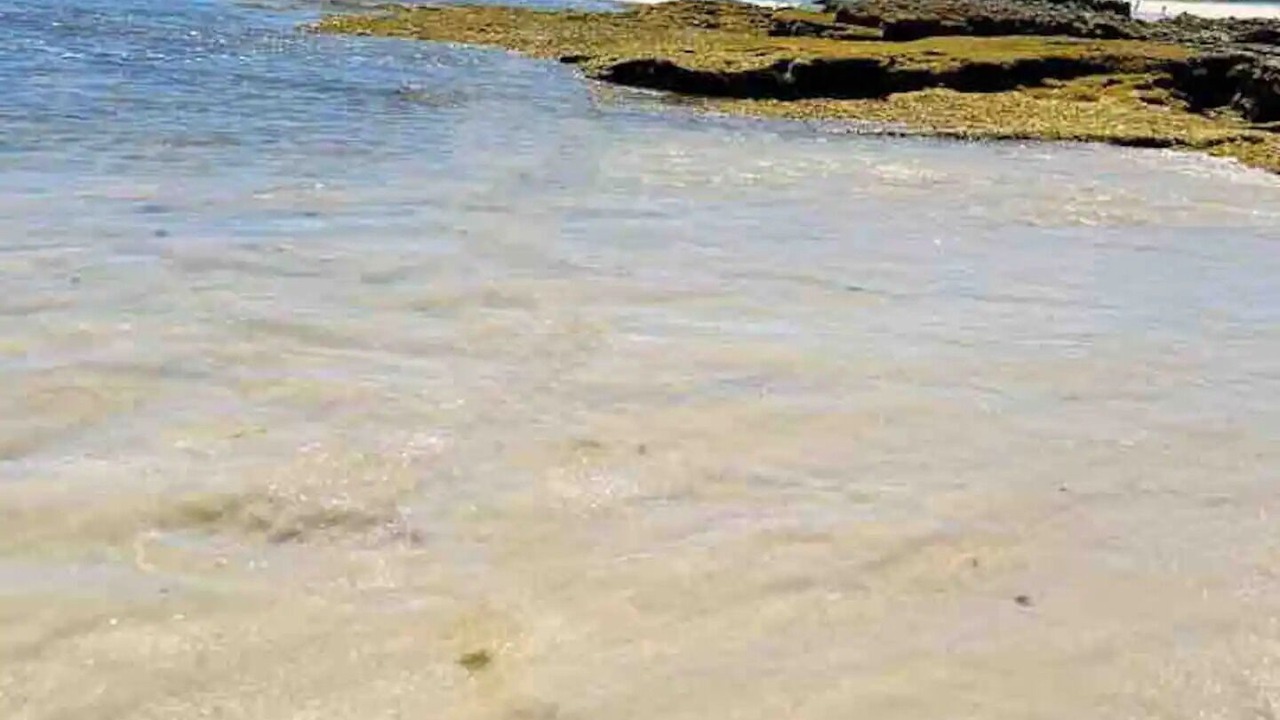 Photo of Others in Praia dos Carneiros