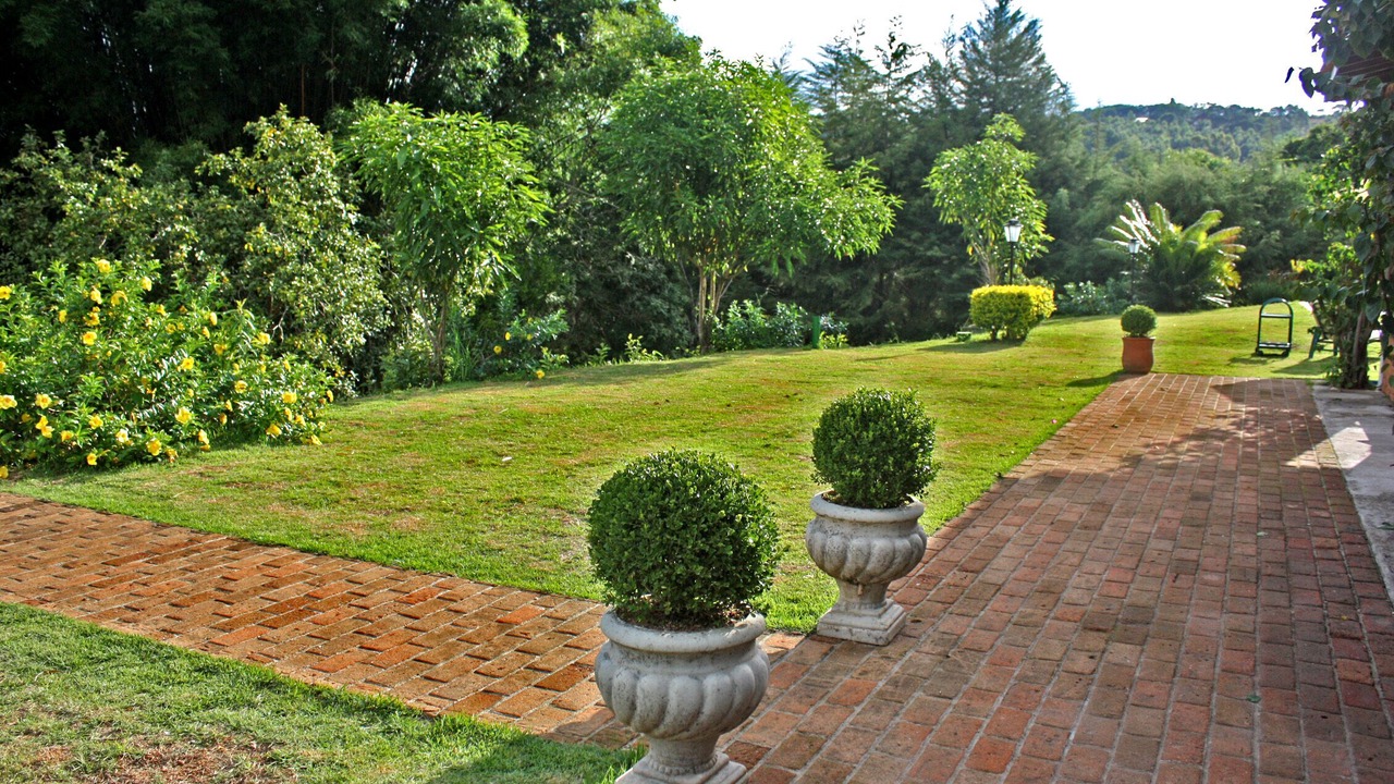 Photo of Outdoor in Braganca Paulista