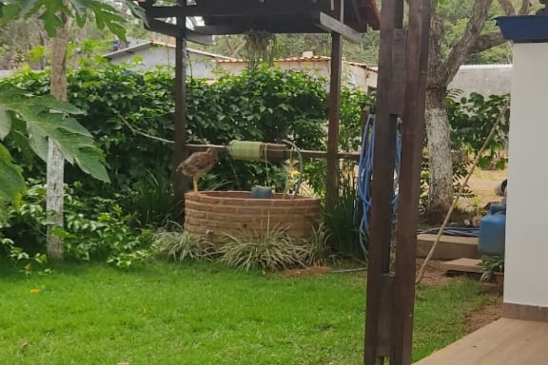 Photo of Outdoor in Alexania