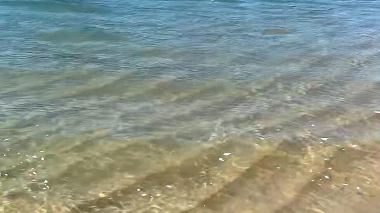 Photo of Others in Praia Deserta