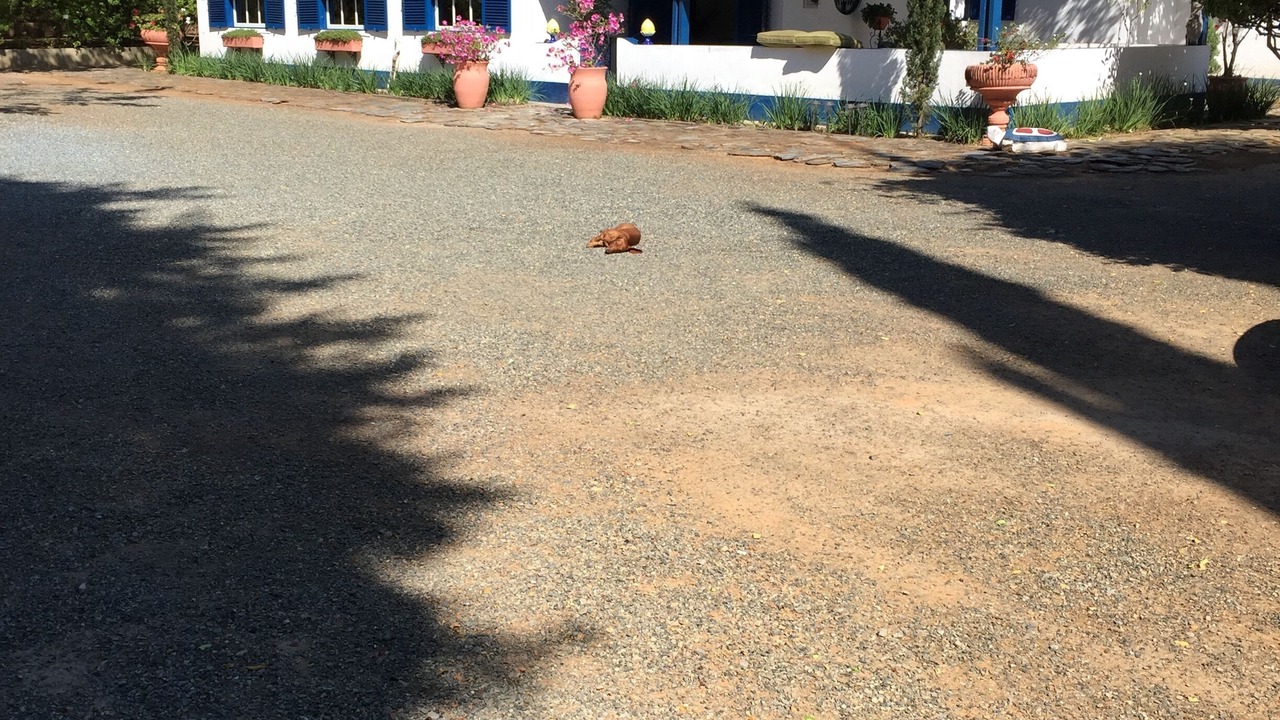 Photo of Outdoor in Salto de Pirapora