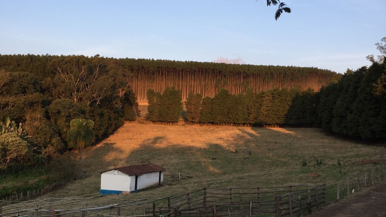 Photo of Outdoor in Salto de Pirapora