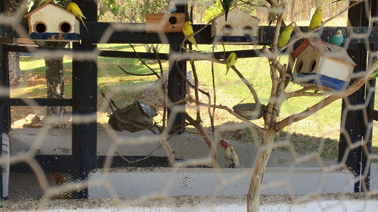 Photo of Outdoor in Salto de Pirapora