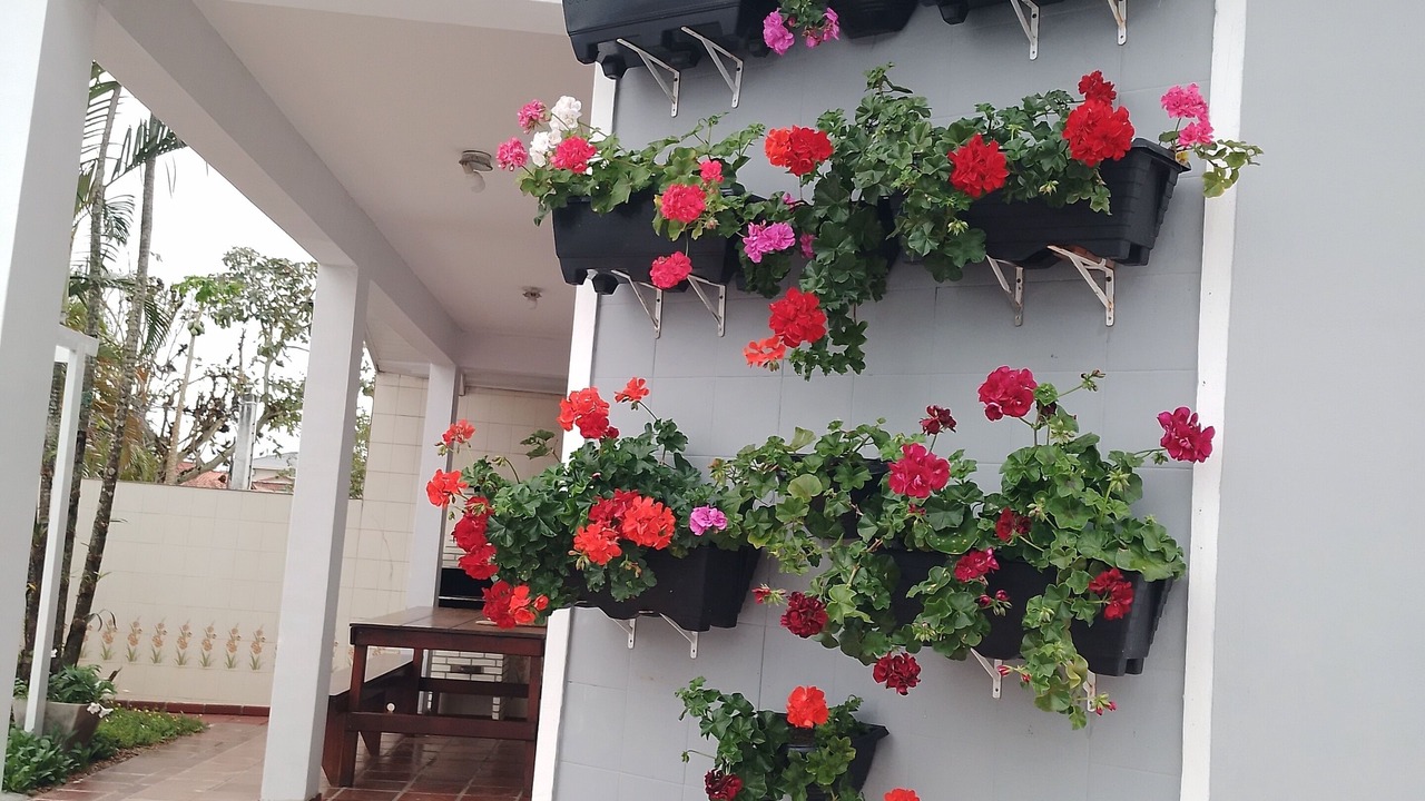 Photo of Outdoor in Balneario Florida