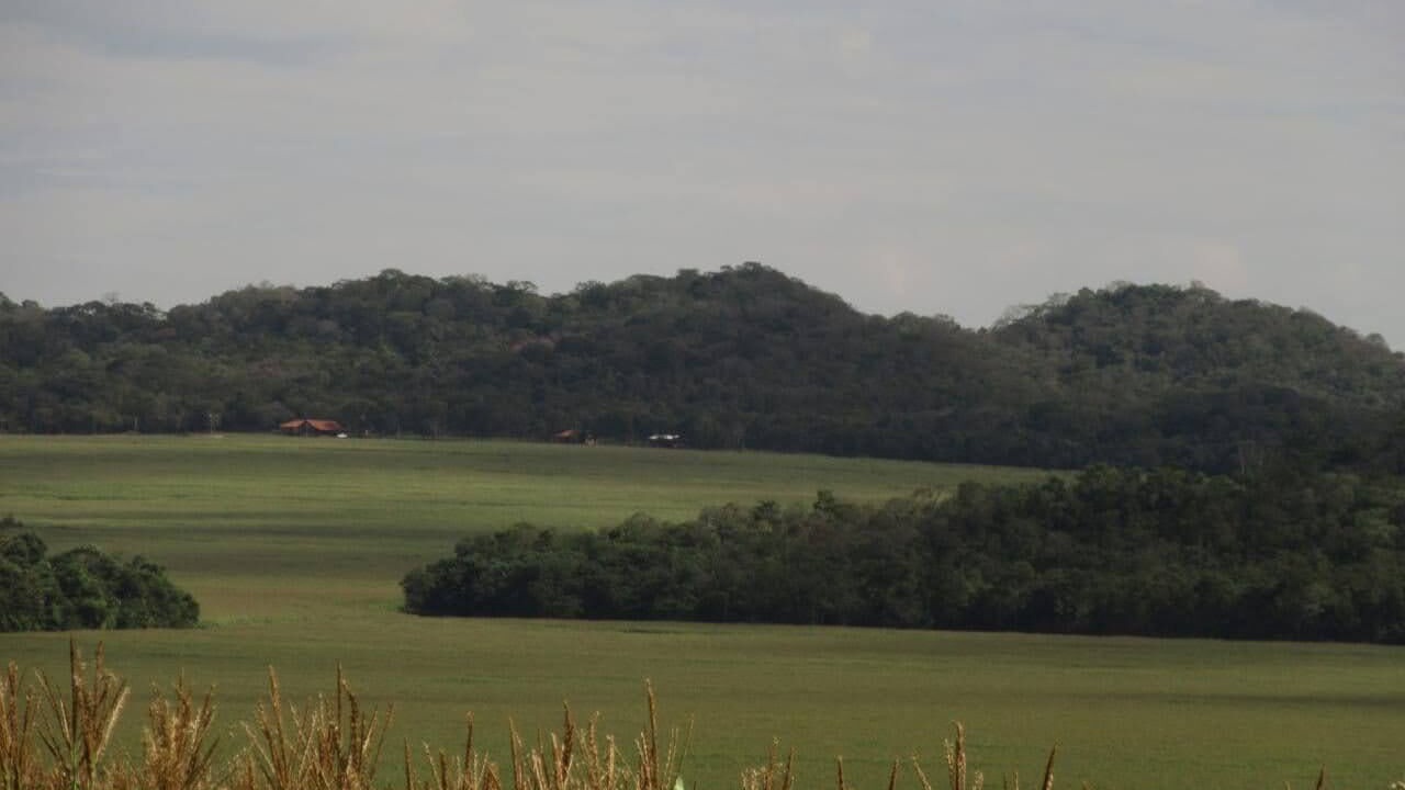 Photo of Others in Bonito