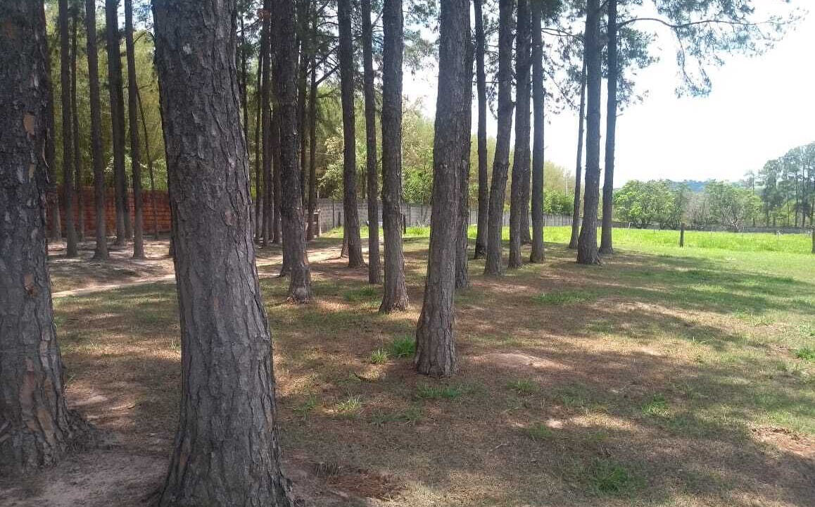 Photo of Outdoor in Itu