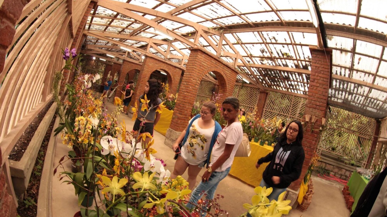 Photo of Outdoor in Embare