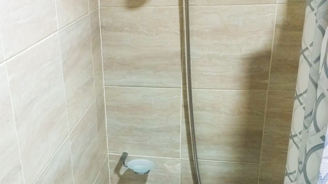 Photo of Bathroom in Godoy Cruz