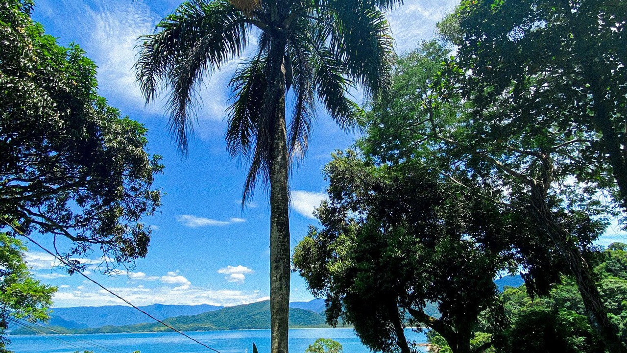 Photo of Outdoor in Picinguaba