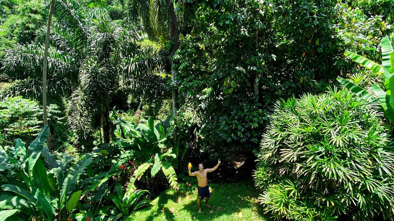 Photo of Outdoor in Picinguaba