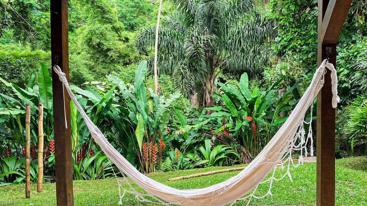 Photo of Outdoor in Picinguaba
