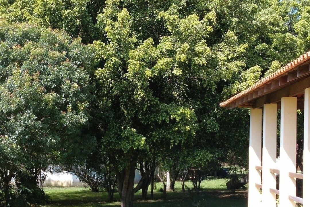 Photo of Outdoor in Aracoiaba da Serra