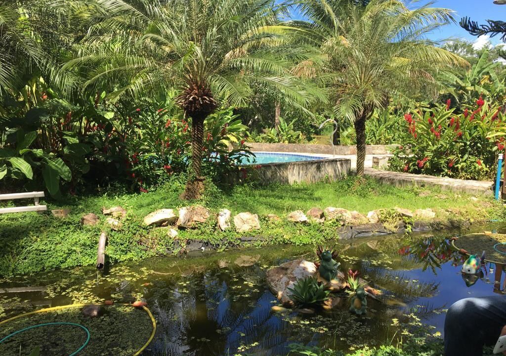 Photo of Outdoor in Uniao dos Palmares