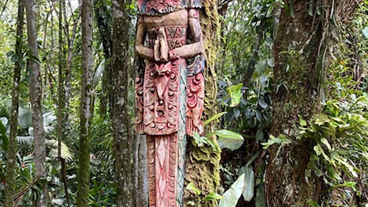 Photo of Outdoor in Barra do Una