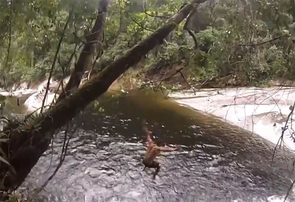 Photo of Outdoor in Barra do Una