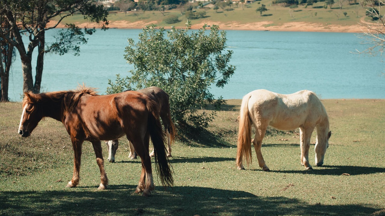 Photo of Others in Sete Pontes