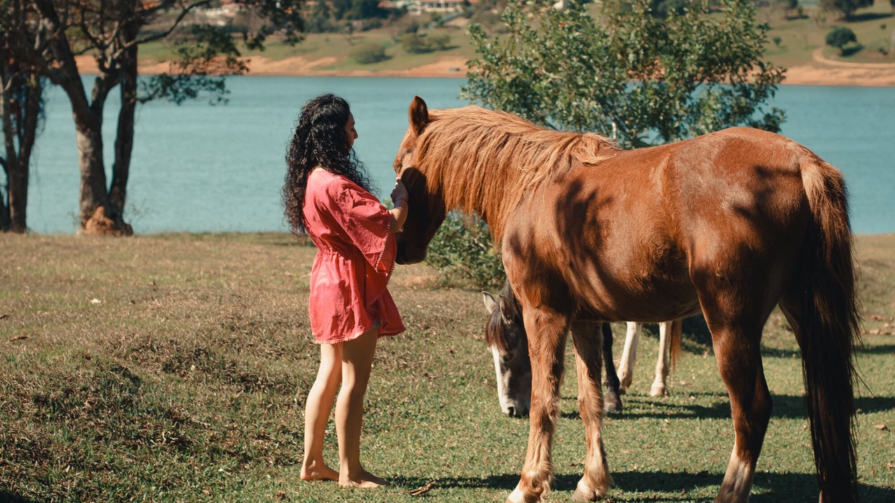 Photo of Others in Sete Pontes